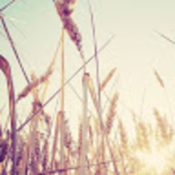 Meet your Posher, Sarah - Picture 1 of 1